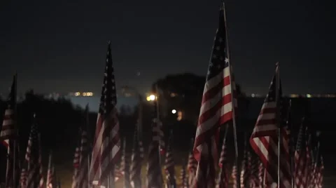 American flags Stock Footage 49560267