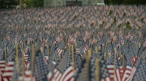American Flags Video stock 50382794