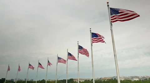 American flags Stock-Footage 55436698