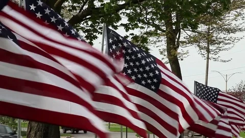 American Flags Stock Footage 78601023