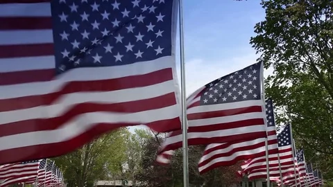 American Flags Stock Footage 78601027