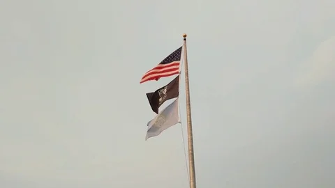 American Flags Stock Footage 79174656