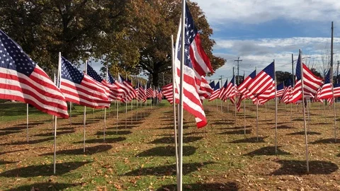 American Flags Stock Footage 97831686