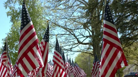 American Flags Video stock 131270730