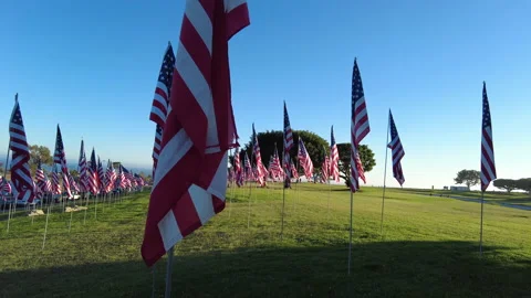 American Flags Stock Footage 160990855