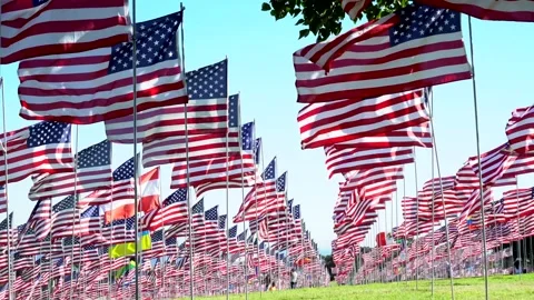 American Flags Stock Footage 183474531