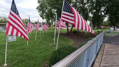 American Flags Stock Footage 286163712