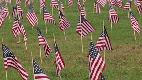 American flags in ground celebrating or honoring veterans that served in the  Stock Footage 221478088