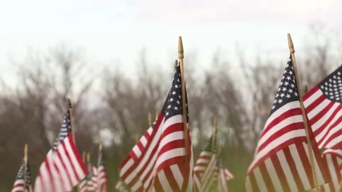 American flags in ground celebrating or honoring veterans that served in the  Stock Footage 221478155