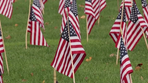 American flags in ground celebrating or honoring veterans that served in the  Stock Footage 221478173