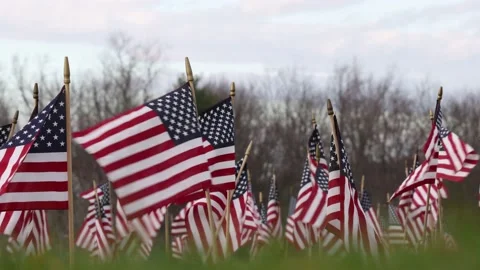 American flags in ground celebrating or honoring veterans that served in the  Stock Footage 221478175