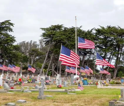 American flags honoring war dead Stock Photos