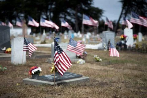 American flags honoring war dead Stock Photos