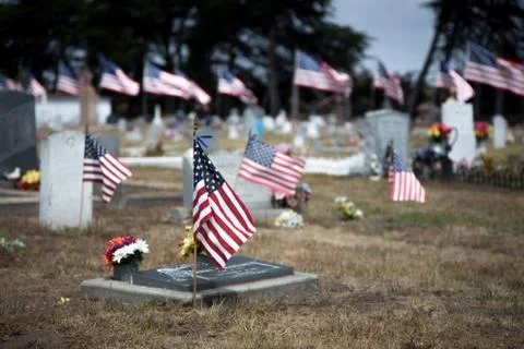 American Flags Honoring War Dead Stock Photos