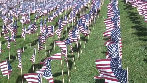 American Flags, hundreds, wave in field Video stock 171778674