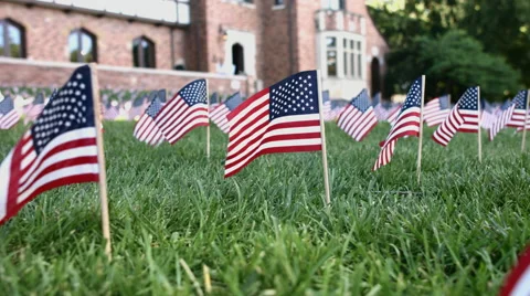 American flags on lawn close up Video stock 56065371