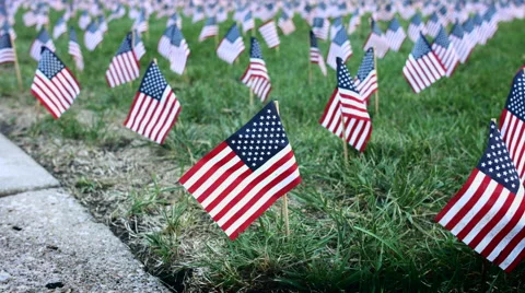 American flags on lawn medium shot Video stock 56065396
