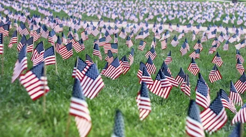 American flags on lawn slope Video stock 56065385