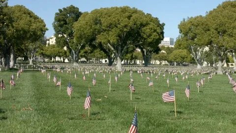 American Flags in Memorial Cemetery Vídeo Stock 78081277