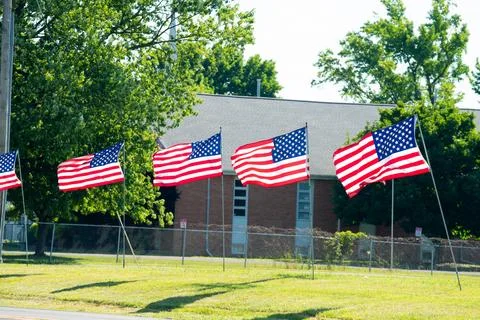 American flags memorial Stock Photos