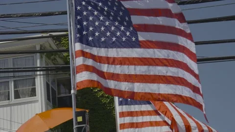 American Flags in Parade Stock Footage 230295156