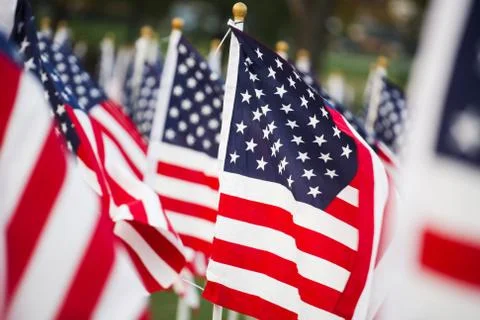 American flags Stock Photos