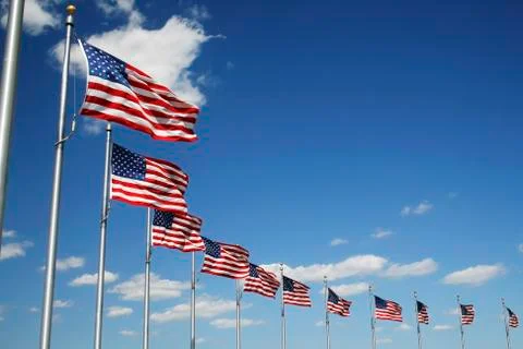 American flags 库存照片