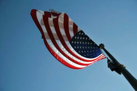 American flags Stock Photos