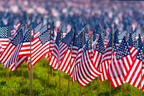 American Flags Stock Photos