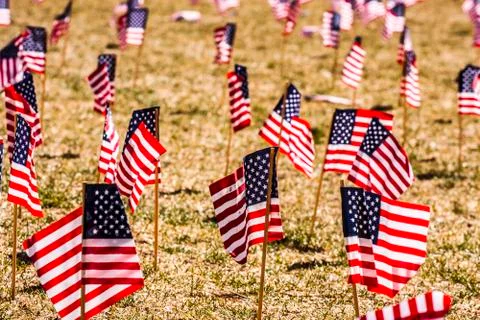 American Flags Stock Photos