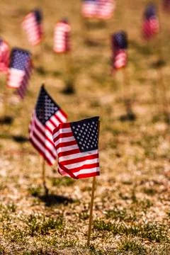 American Flags Stock Photos