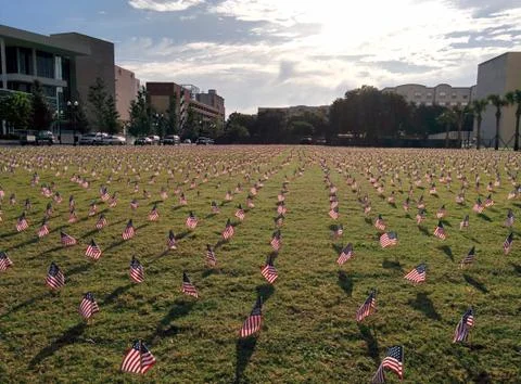 American Flags Foto stock