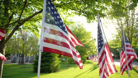 American flags rippling in the wind at the green central park. Patriotic 库存影片 319361726