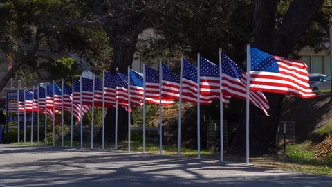 American Flags in a row, 4k Stock Footage 92457560