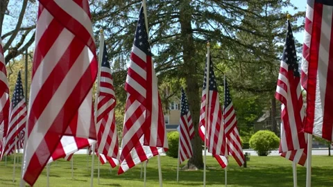 American Flags - Slow Motion 120fps - 4k Video stock 131269924