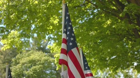 American Flags - Slow Motion 120fps - 4k Stock Footage 131270707