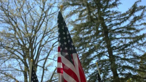 American Flags - Slow Motion 120fps - 4k Video stock 131270756