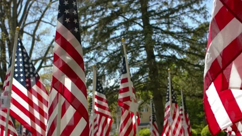 American Flags - Slow Motion 120fps - 4k Stock Footage 131270768