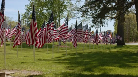 American Flags - Slow Motion 120fps - 4k Stock Footage 131270785