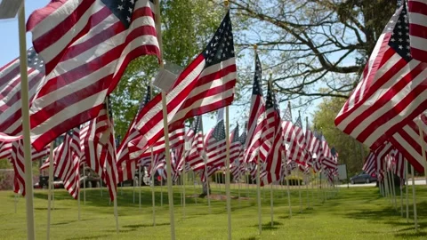 American Flags - Slow Motion 120fps - 4k Stock Footage 131270787