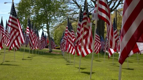 American Flags - Slow Motion 120fps - 4k Stock Footage 131270813