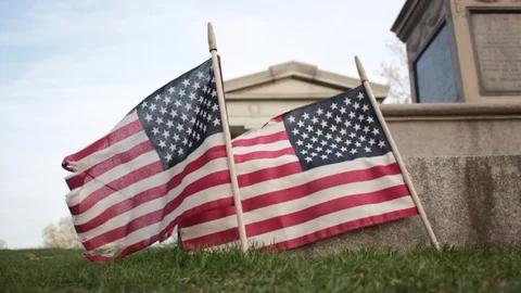American Flags Small Stock Footage 88844499