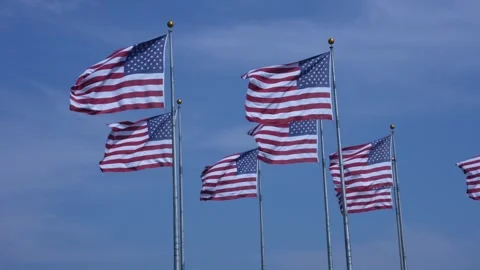 American flags at sunny day. Stock Footage 295461243