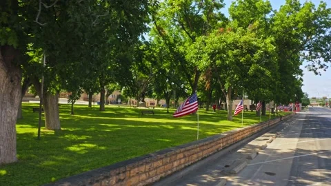 American Flags at Texas Park Stock Footage 156720878