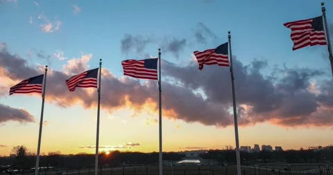 American flags in Washington DC Stock Footage 148184262