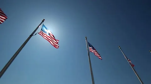 American flags at Washington Monument Stock Footage 51150122