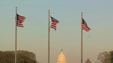 American Flags Wave in Front of United States Capitol Building in Washington DC Видео 90543