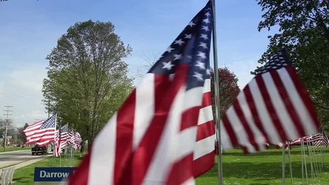 American Flags Wave in the Park Stock Footage 78601020