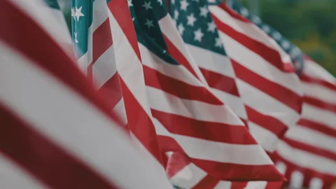 American Flags Waving Stock Footage 134828710