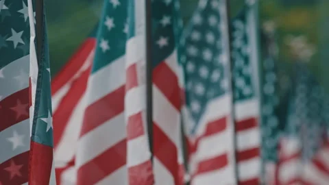 American Flags Waving Vídeo Stock 134828752